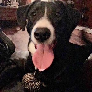 Meet your Posher, Sara